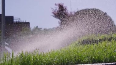 Su damlacıkları, şehir parkındaki yemyeşil çimlere püskürtülmüş. Binalar ve ağaçlar arka planda görünür. Yavaş Hareket Yakın Çekim.