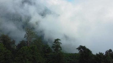 Alçak bulutlar yaz günü sık ormanlarla kaplı dağların üzerinde yüzerler. Sakin atmosfer yeşil manzaranın güzelliğini arttırır, sakin bir ortam yaratır. İnsansız hava aracından görüntüle