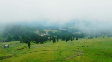 Sis, dağ manzarasını örterek, yavaş yavaş yeşil çimenleri, ağaçları ve dağınık evleri gizler. Sahne, Beshumi, Georgia 'da doğanın güzelliğini gözler önüne seren sakin bir atmosferi yakalıyor..