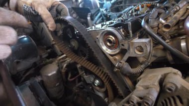 Eldivenli tamirci, araba motorunda yıpranmış zamanlayıcı kayışına, hasar işaretlerine ve rutin işler ve tamirat sırasında değiştirilmesi gerektiğine işaret ediyor.