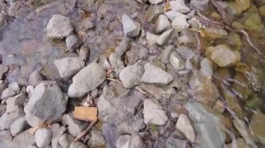 İnsanın ayakları kayalık derede yürürken, doğanın sükunetini ve macerasını yakalar. Araştırma konuları ve açık hava aktiviteleri için mükemmel. Birinci şahıs görünümü.