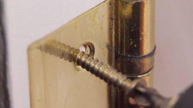 Profesyonel tamirci, beyaz kapıya altın menteşe takıyor, elektrikli tornavida kullanıyor ve ustalıkla ev yenileme ve onarım işlerini yapıyor.