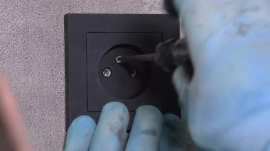 Deneyimli, mavi eldivenli elektrikçi hassas elektrik işi sırasında gri duvara takılan siyah elektrik prizinin vidalarını sıkıyor.