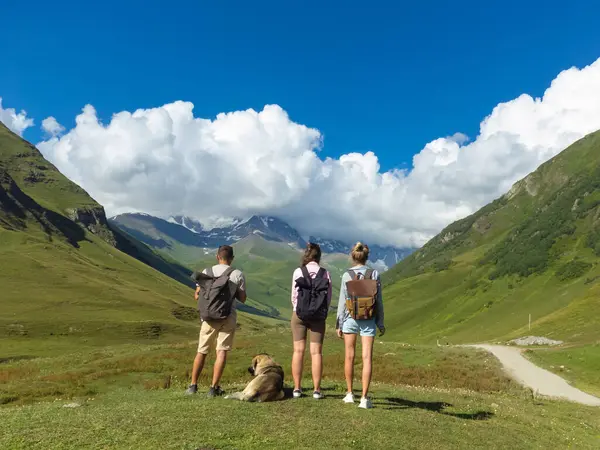 Sırt çantalı üç turist ve bir köpek, yürüyüş ve yürüyüş için popüler bir yer olan Gürcistan 'ın svaneti bölgesindeki yeşil vadi ve kar kaplı zirvelerin nefes kesici manzarasının keyfini çıkarıyorlar.