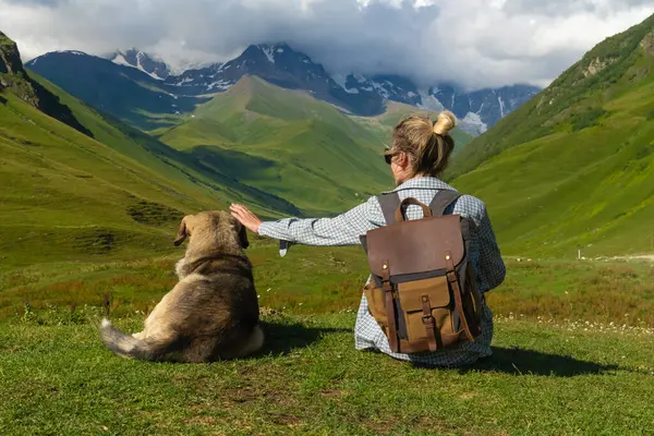 Sırt çantalı bayan yürüyüşçü köpeğiyle çimenli dağ yamacında dinleniyor, yaz macerası boyunca karlı tepelerin ve yeşil vadilerin nefes kesici manzarasının keyfini çıkarıyor.
