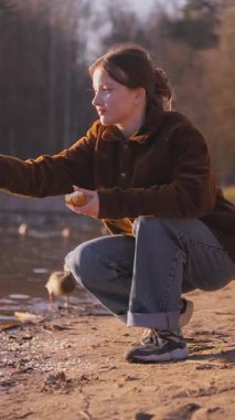 Genç bir kadın göl kıyısında çömelmiş, ekmeğini nazikçe yiyor ve güneşli bahar günü dikey videosu boyunca huzurlu ve sakin bir tavırla yüzen ördekleri besliyor.