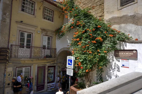 Coimbra Portugal Août 2022 Vue Rue Montrant Vieille Muraille Ville — Photo