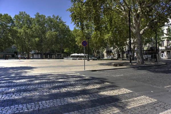 Coimbra Portugal Augustus 2022 Straatzicht Met Bomen Omzoomde Straten Groot — Stockfoto