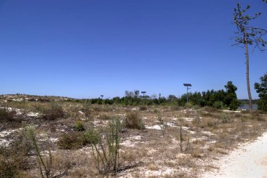 Quiaios, Portekiz - 14 Ağustos 2022: Lagoa das Bracas adındaki lagünün çevresindeki kuru kara ve güneş enerjili gece lambalarını gösteren manzara
