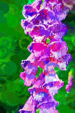 Digitalis Mor Çiçek Çanları