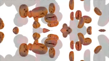 Coffee Beans in Motion Digital Rendering