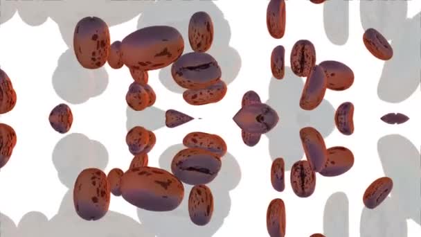 Rendering Coffee Beans Motion — Video Stock
