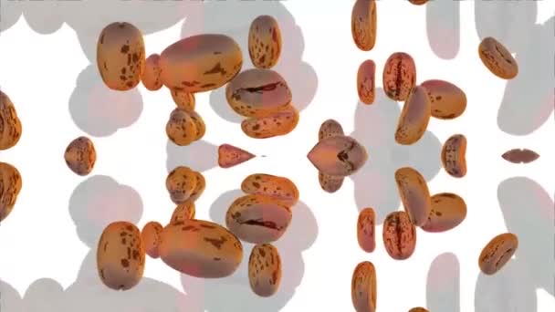 Coffee Beans Motion Digital Rendering — Stok video