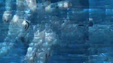 Soyut Renkli Kabarcıklar 3B Hazırlama