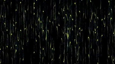 Parıldayan Parlak Festive Arkaplan Dijital Hazırlama