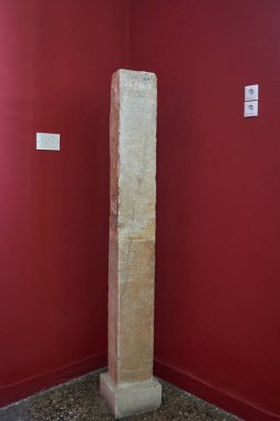 Sparta Arkeoloji Müzesi 'nin iç manzarası. Lakedaemonia olarak bilinen Sparta 'nın antik Akropolis bölgesinden binlerce bulguya ev sahipliği yapar.