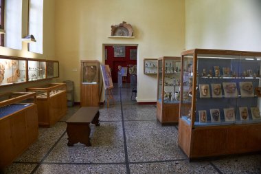 Sparta Arkeoloji Müzesi 'nin iç manzarası. Lakedaemonia olarak bilinen Sparta 'nın antik Akropolis bölgesinden binlerce bulguya ev sahipliği yapar.