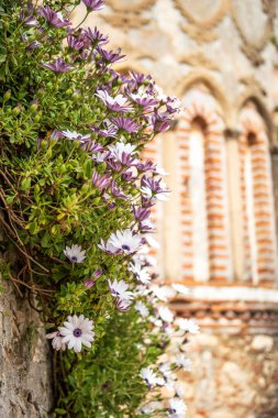 Yunanistan 'ın Bizans kenti Mystras' tan görüntü. Mystras şehri bir arkeoloji müzesidir ve 1951 yılında Yunanistan 'ın Lakonya kentinde açıldı.