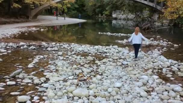 Vista Panorâmica Sobre Beleza Natural Famoso Rio Voidomatis Que Passa — Vídeo de Stock