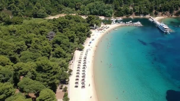 Magnesia Sporades Skiathos岛Koukounaries海滩的空中景观 — 图库视频影像