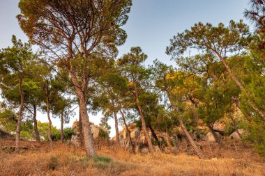 Günbatımında Kyparissia sahil kasabasının tarihi şatosundan güzel bir gün batımı manzarası. Messenia, Moreloponnese, Yunanistan ve Avrupa 'da yer almaktadır..