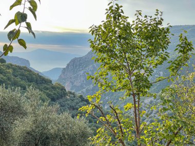 Taygetus Dağı 'ndaki ünlü Ridomo vadisinden doğal manzara. Vadi, Messenia, Yunanistan 'daki Mani bölgesinde Kentro Avia ve Pigadia Köyleri yakınlarındaki jeomorfolojik oluşum elementleri açısından zengin ve derindir.