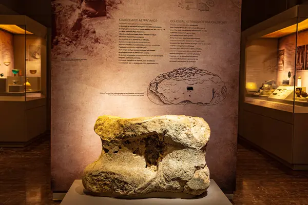 Pylos Kalesi, Niokastro bölgesindeki Pylos Arkeoloji Müzesi 'nin içinde. Sergiler tarih öncesi dönemden Roma dönemine kadar uzanıyor..