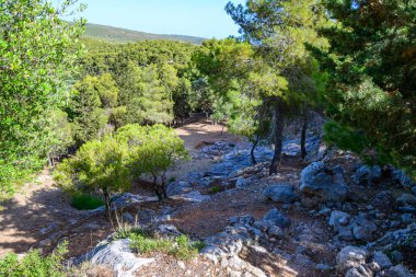 Zakynthos, Yunanistan - 20 Haziran 2024: Yunanistan 'ın Zakynthos adasındaki Kampi kentindeki Miken mezarlığının manzarası