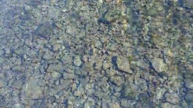 Parlak, güneşli bir günde yüzeyde altın yansımaları ve ışıltıları, çakıl taşları ve alglerle kristal gibi berrak dalgalanan suyun video görüntüleri. Huzur, meditasyon ve rahatlama..