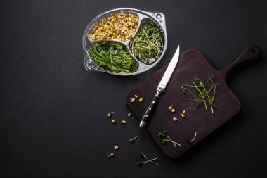 Porsiyonlu plastik bir kutunun içinde koyu beton bir arka planda bezelye, hardal ve filizlenmiş mung fasulyesi mikro yeşillikleri.