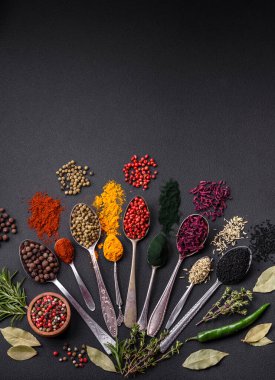 Several types of spices in metal spoons paprika, tomatoes, curry, beets, cumin, turmeric, fennel, spirulina, allspice of different colors on a black concrete background