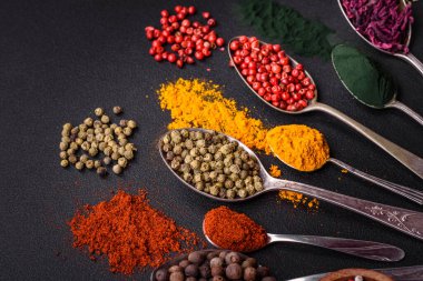 Several types of spices in metal spoons paprika, tomatoes, curry, beets, cumin, turmeric, fennel, spirulina, allspice of different colors on a black concrete background