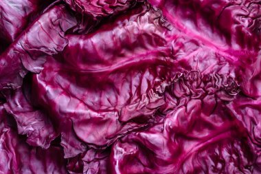 Fresh beautiful red cabbage with textured leaves on a dark concrete background. Vegetarian cooking