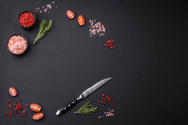 Ingredients salt, spices, herbs and tomatoes on a dark concrete background. Cooking at home
