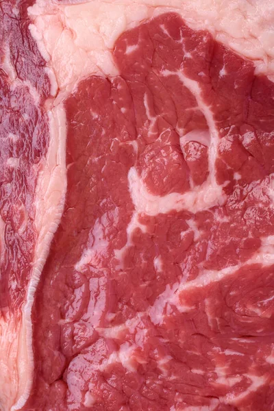 Fresh Raw Beef Steak Salt Spices Herbs Dark Textured Background — Stock Photo, Image