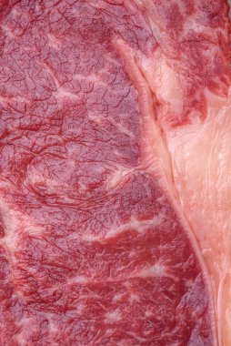 Taze çiğ biftek, tuz, baharat ve otlarla birlikte koyu beton bir arka planda.