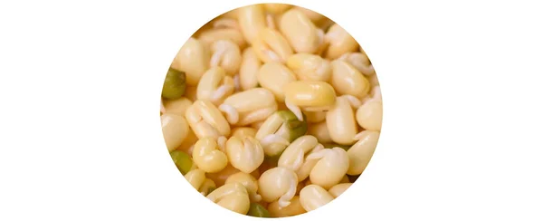 新鲜发芽的绿豆作为素食中的配料 美味的健康食品 — 图库照片