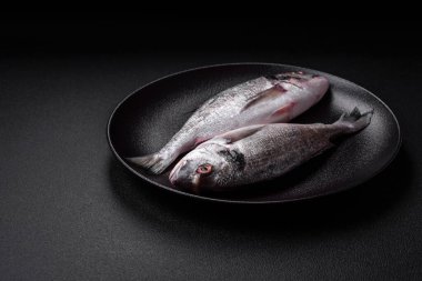 Taze çiğ dorada balığı, tuzlu, baharatlı ve otlu koyu beton arka planda.