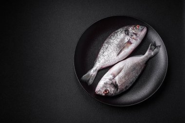 Taze çiğ dorada balığı, tuzlu, baharatlı ve otlu koyu beton arka planda.