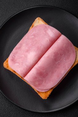 Tost ekmekli, jambonlu, domatesli, tuzlu ve baharatlı lezzetli sandviç.