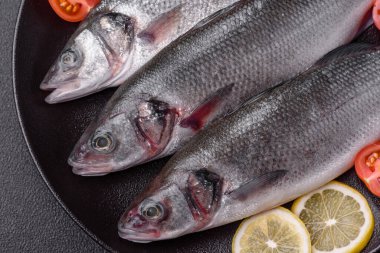 Taze çiğ okyanus levreği balığı. Tuz, baharat ve çimento arka planda bitkilerle birlikte.