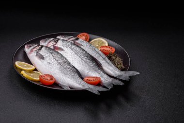 Taze çiğ okyanus levreği balığı. Tuz, baharat ve çimento arka planda bitkilerle birlikte.