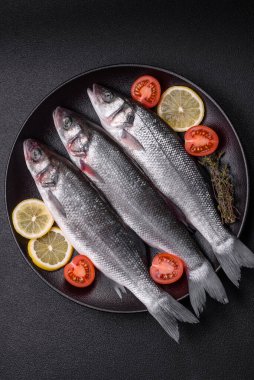 Taze çiğ okyanus levreği balığı. Tuz, baharat ve çimento arka planda bitkilerle birlikte.