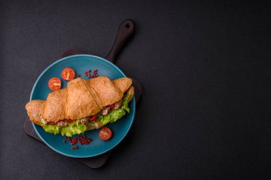 Lezzetli taze kruvasan, tavuk ya da sığır eti, marul, domates, baharat ve koyu beton arka planda sos.