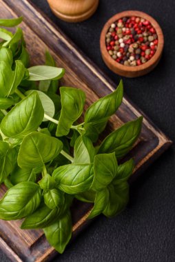 Çalı şeklinde taze fesleğen. Koyu beton arka planda evde yemek pişirmek için bir malzeme.