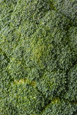 Dal şeklinde taze çiğ brokoli. Koyu beton bir arka planda evde yemek pişirmek için bir malzeme.