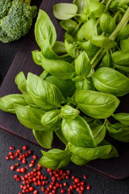 Çalı şeklinde taze fesleğen. Koyu beton arka planda evde yemek pişirmek için bir malzeme.