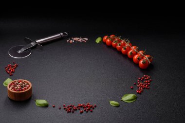 Ingredients salt, spices, herbs and tomatoes on a dark concrete background. Cooking at home