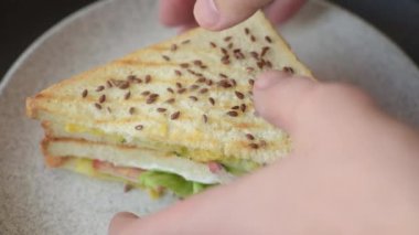 Ekmek, et, domates, peynir, sos, tuz ve baharatlı sandviç.