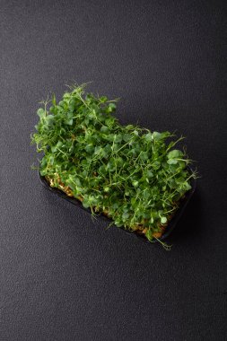 Genç taze bezelye mikroyeşil lahanalar plastik kutuda koyu beton arka planda.